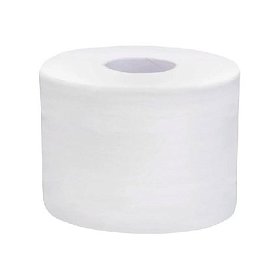 купить Туалетная бумага двухслойная белая 120 м 12 шт