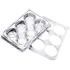 купить Планшет 6-ти луночный Repro Plate Kitazato Corporation 10 шт/упак